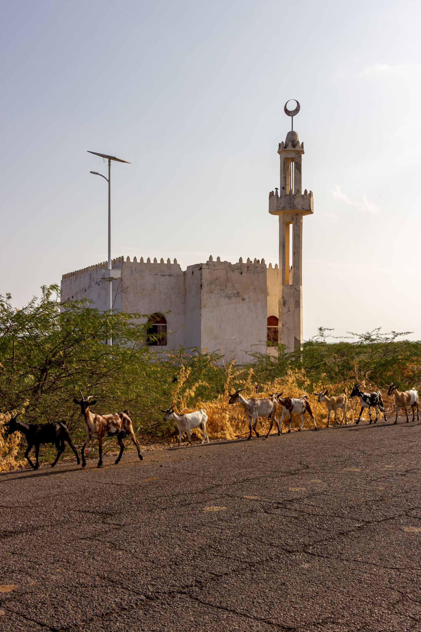 Tales of the Djibouti, stolen moments By Camille Massida